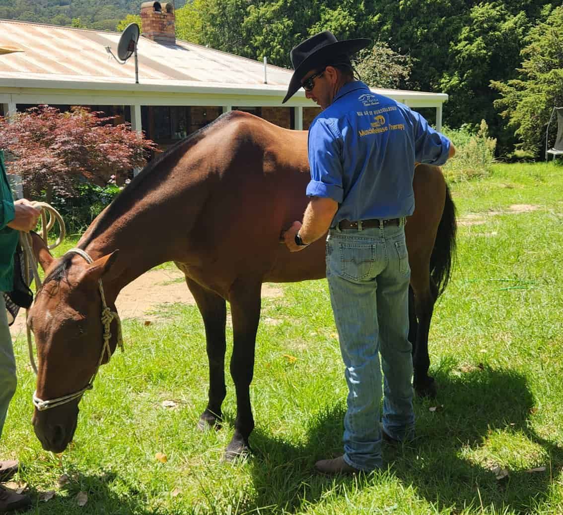 A Man In A Cowboy Hat Stands Next To A Brown Horse — Jono Battle Equine Services In Walkamin, QLD