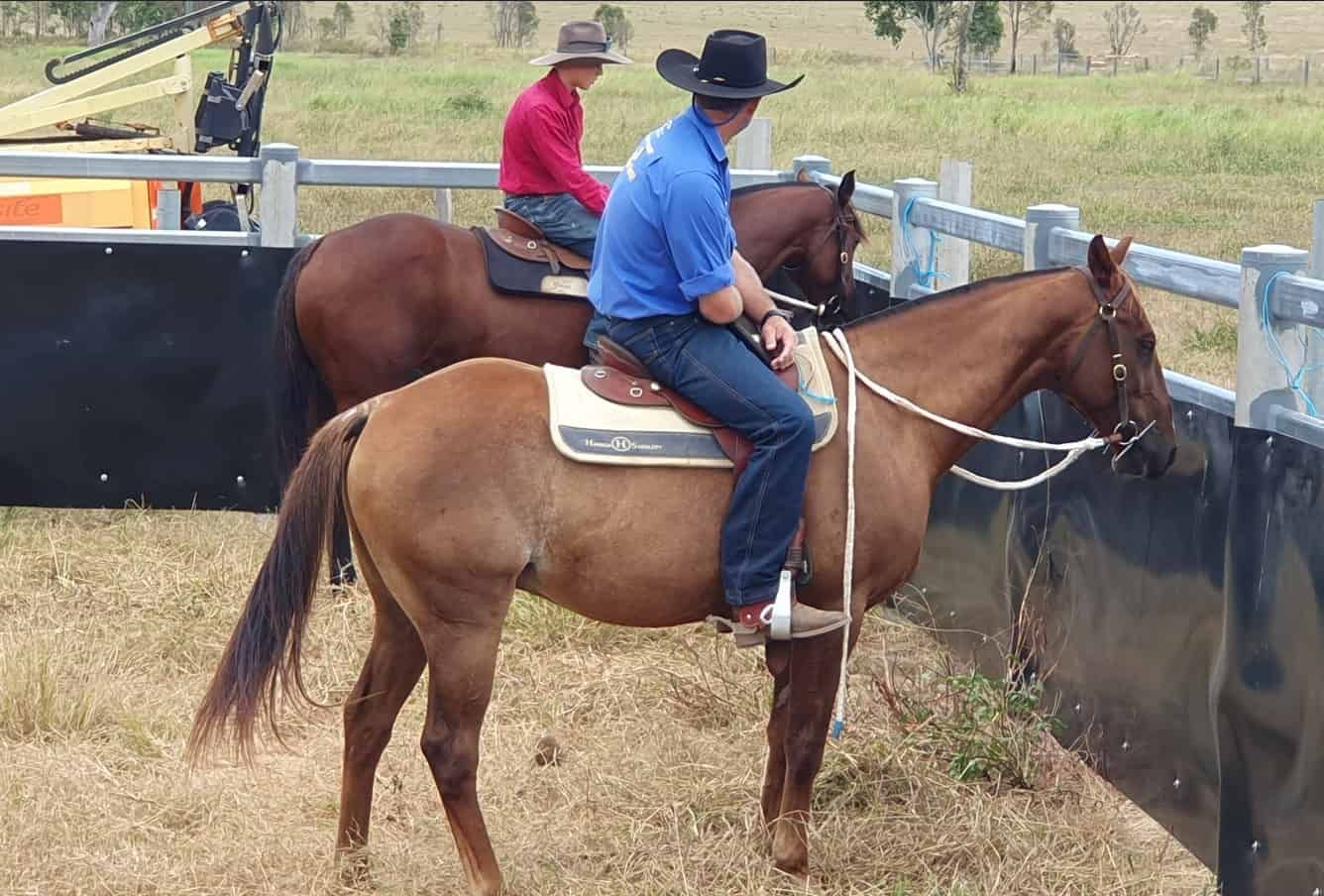 A Man And A Woman Are Riding Horses In A Field — Jono Battle Equine Services In Walkamin, QLD