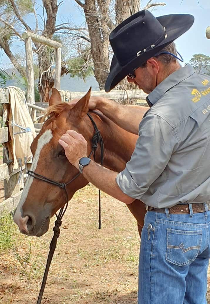A Man In A Cowboy Hat Is Petting A Brown Horse — Jono Battle Equine Services In Walkamin, QLD