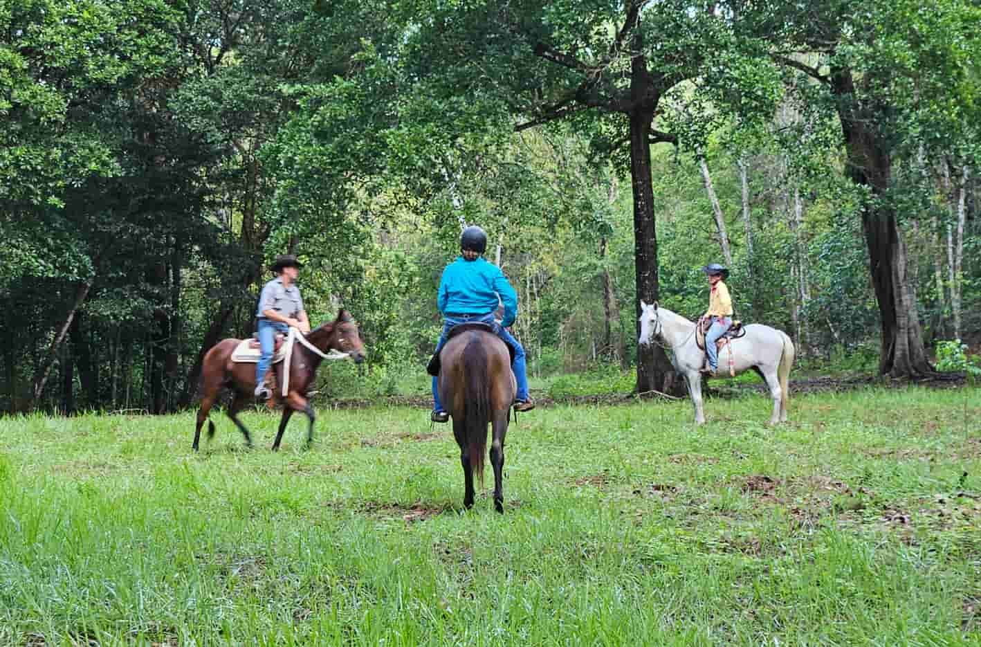 A Group Of People Are Riding Horses In A Grassy Field — Jono Battle Equine Services In Walkamin, QLD