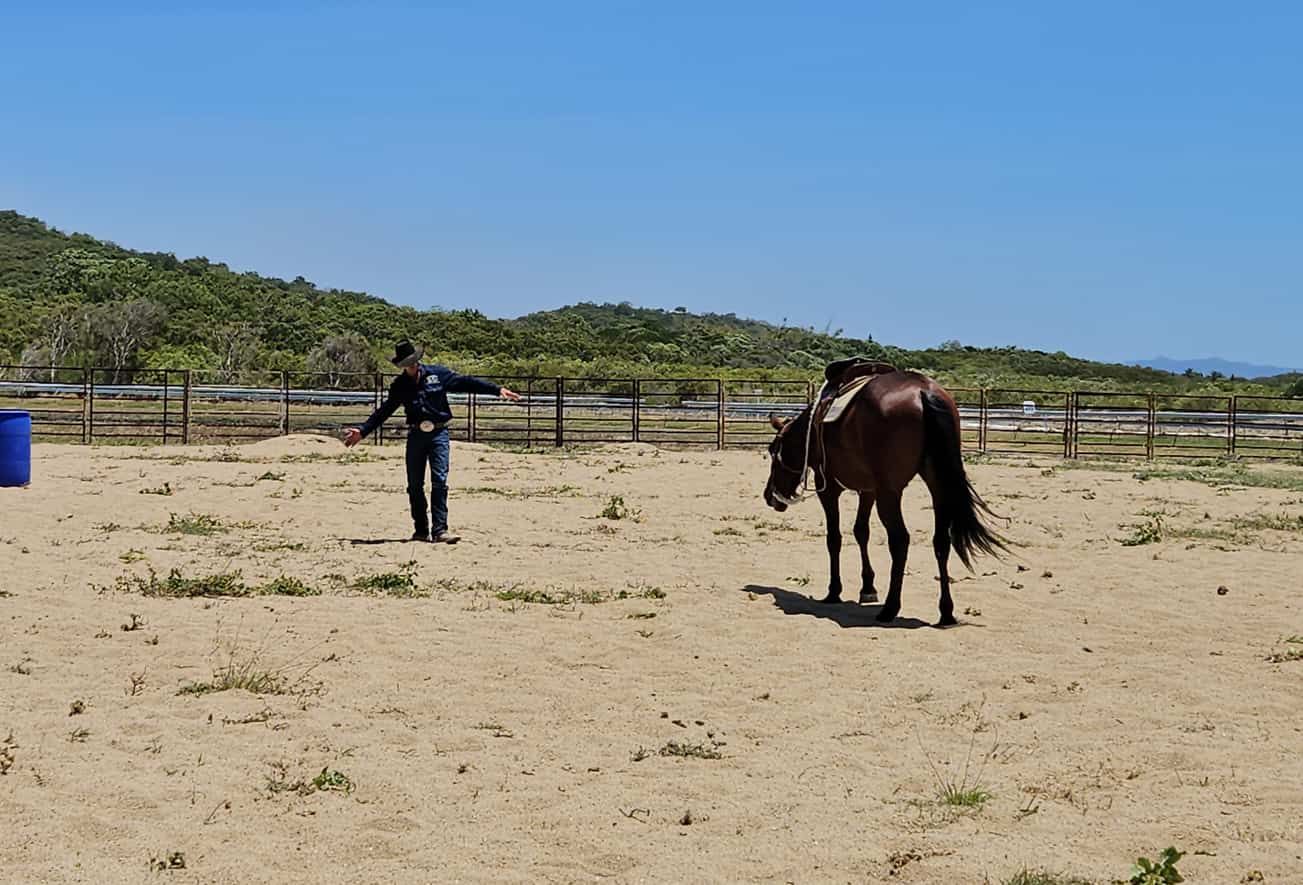 A Man Is Standing Next To A Horse In A Dirt Field — Jono Battle Equine Services In Walkamin, QLD