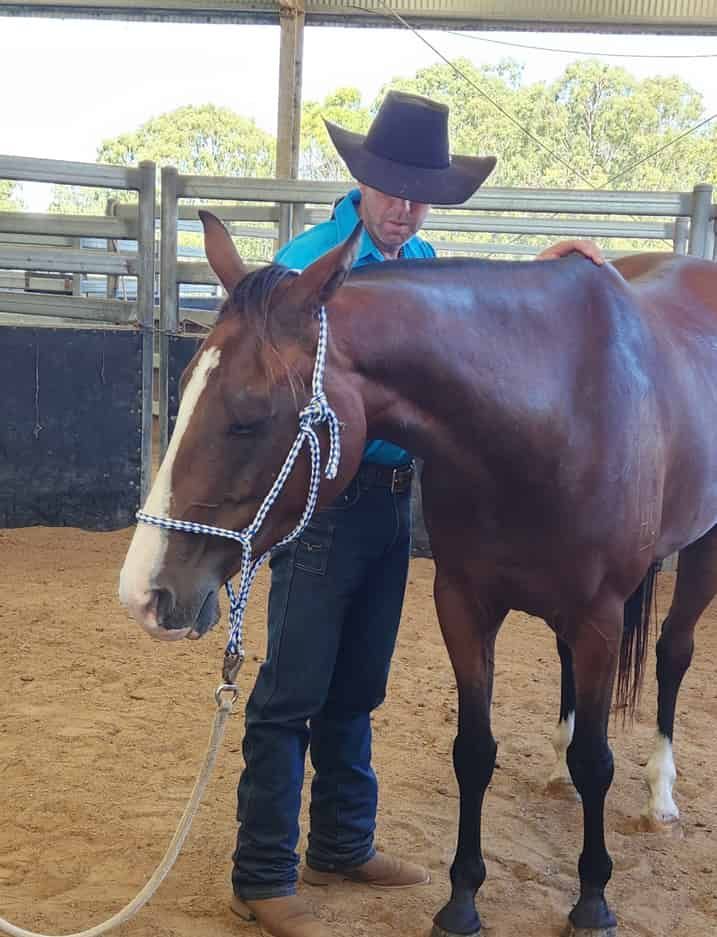 A Man In A Cowboy Hat Is Standing Next To A Brown Horse — Jono Battle Equine Services In Tablelands, QLD