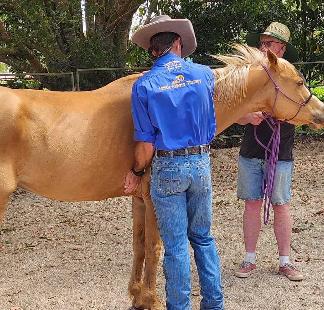 A Man In A Cowboy Hat Is Riding A Brown Horse — Jono Battle Equine Services In Walkamin, QLD