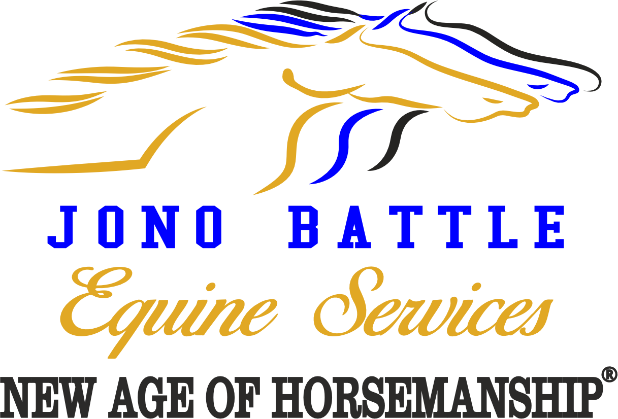 Equine Care In The Tablelands Equine Care In The Tablelands