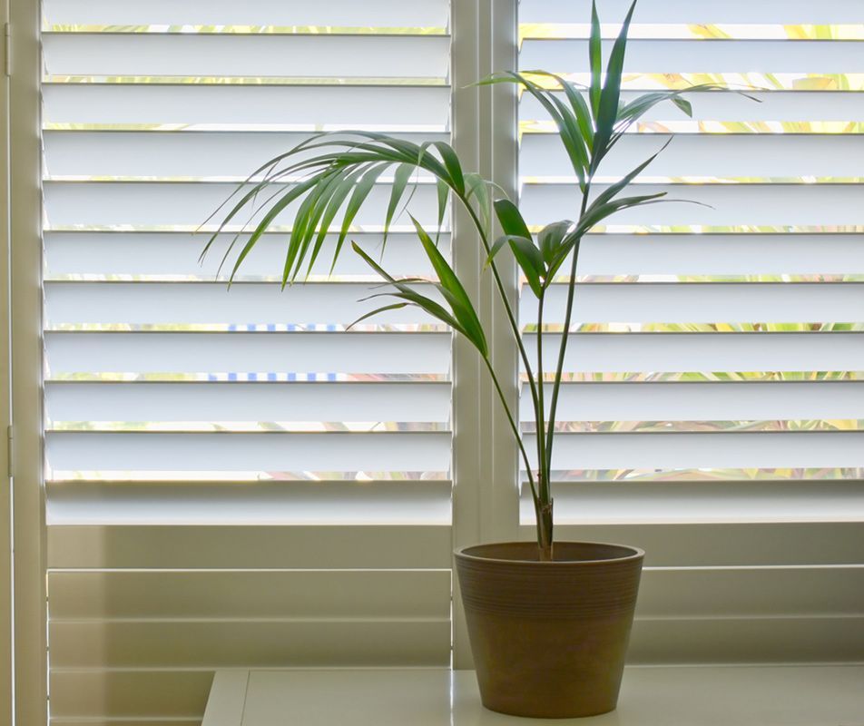 Elegant White Indoor Plantation Shutters for a Touch of Luxury — Southern Blinds & Awnings In Bowral NSW