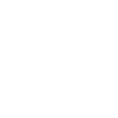 AAP Logo