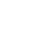 AAP Logo