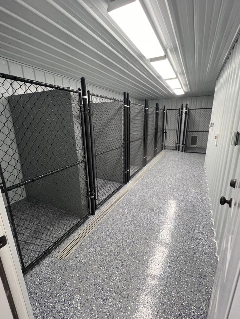 A long hallway with a chain link fence leading to a row of dog kennels.