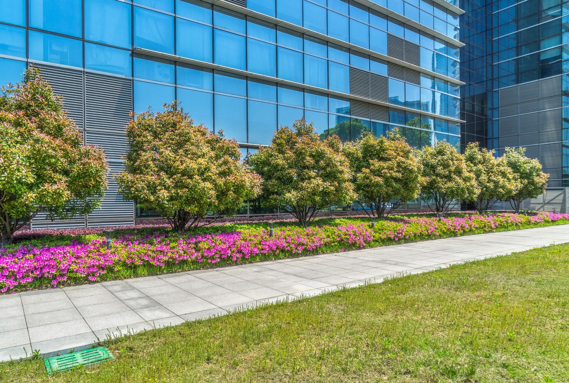 A row of trees and flowers in front of a building.