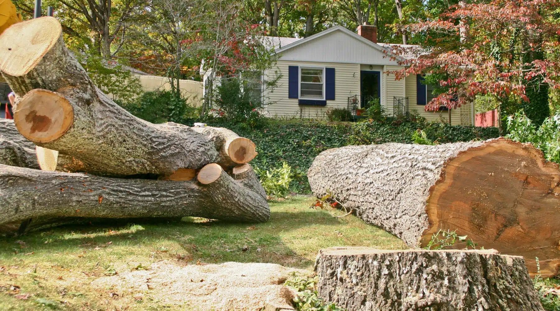 A pile of logs and stump in front of a house.
