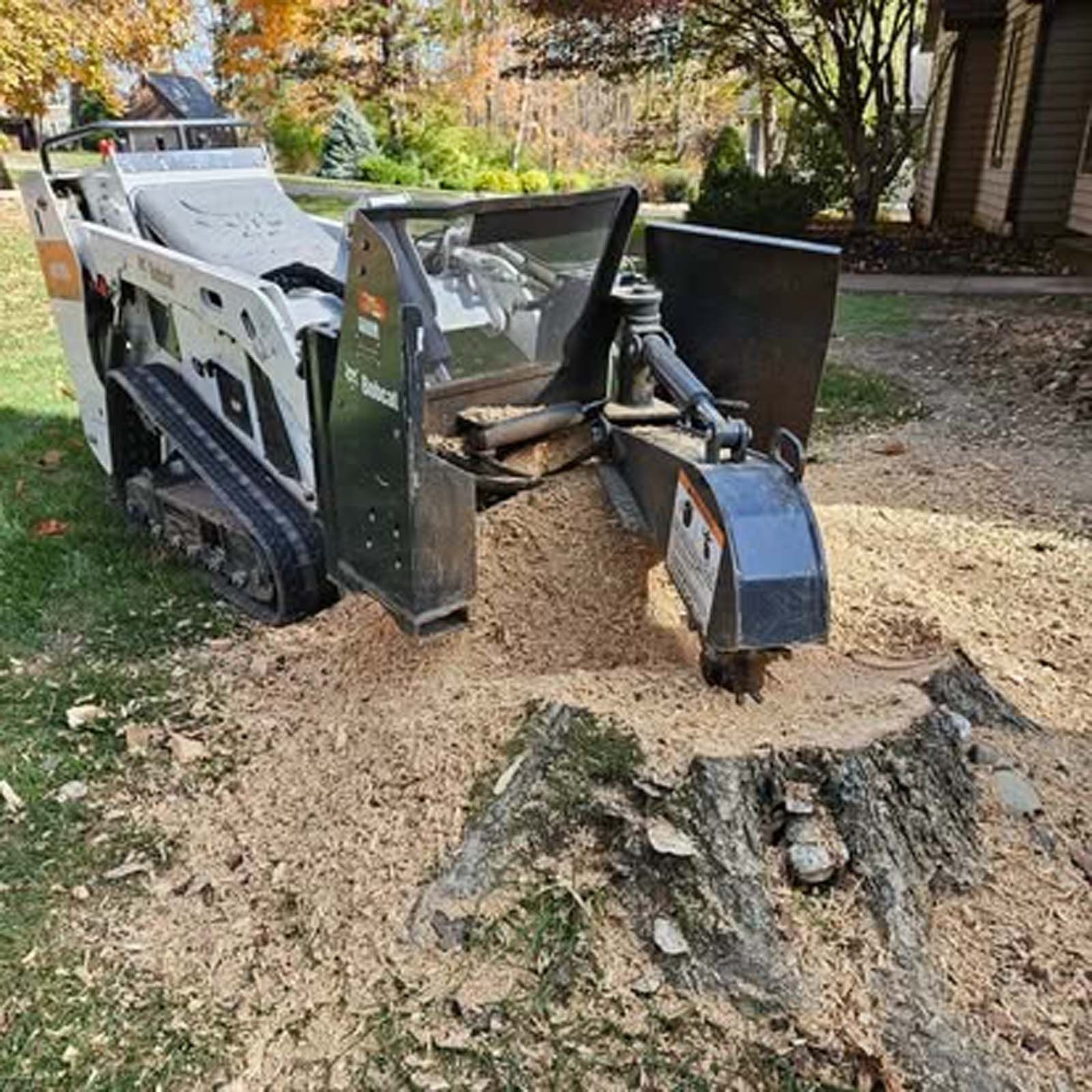 A stump grinder is cutting a tree stump in a yard.