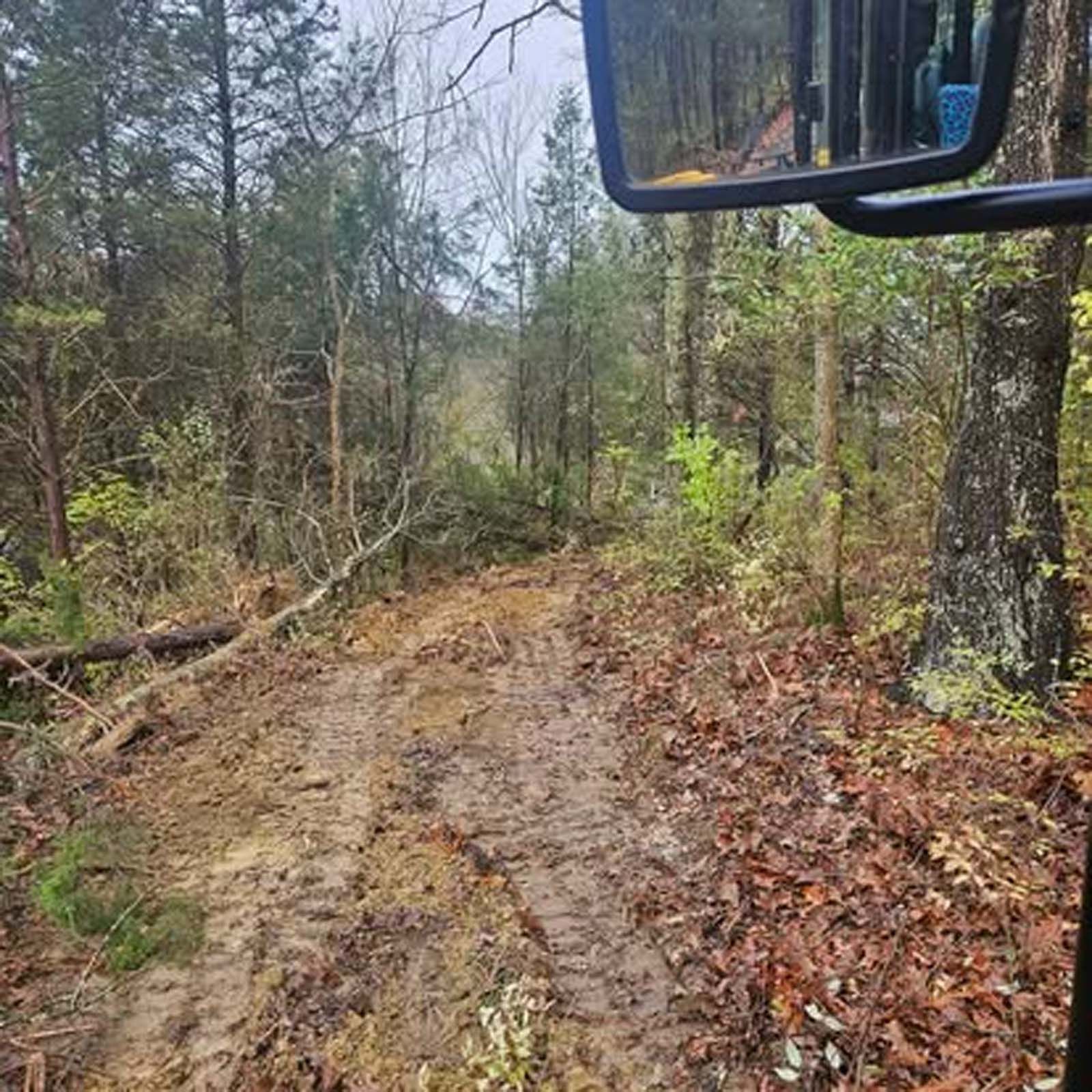 A truck is driving down a dirt road in the woods.