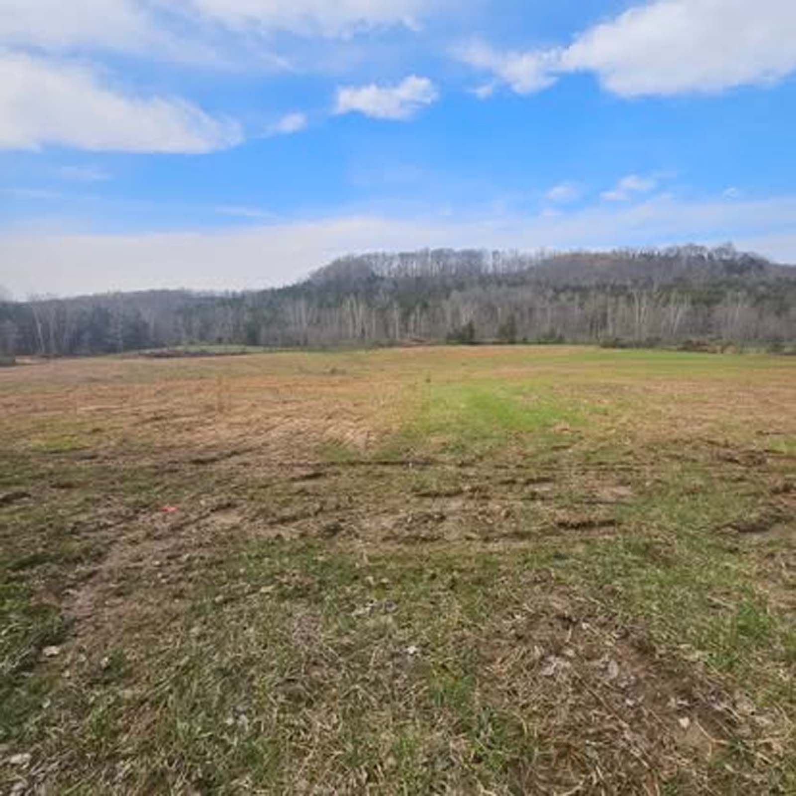 A large grassy field with a mountain in the background.