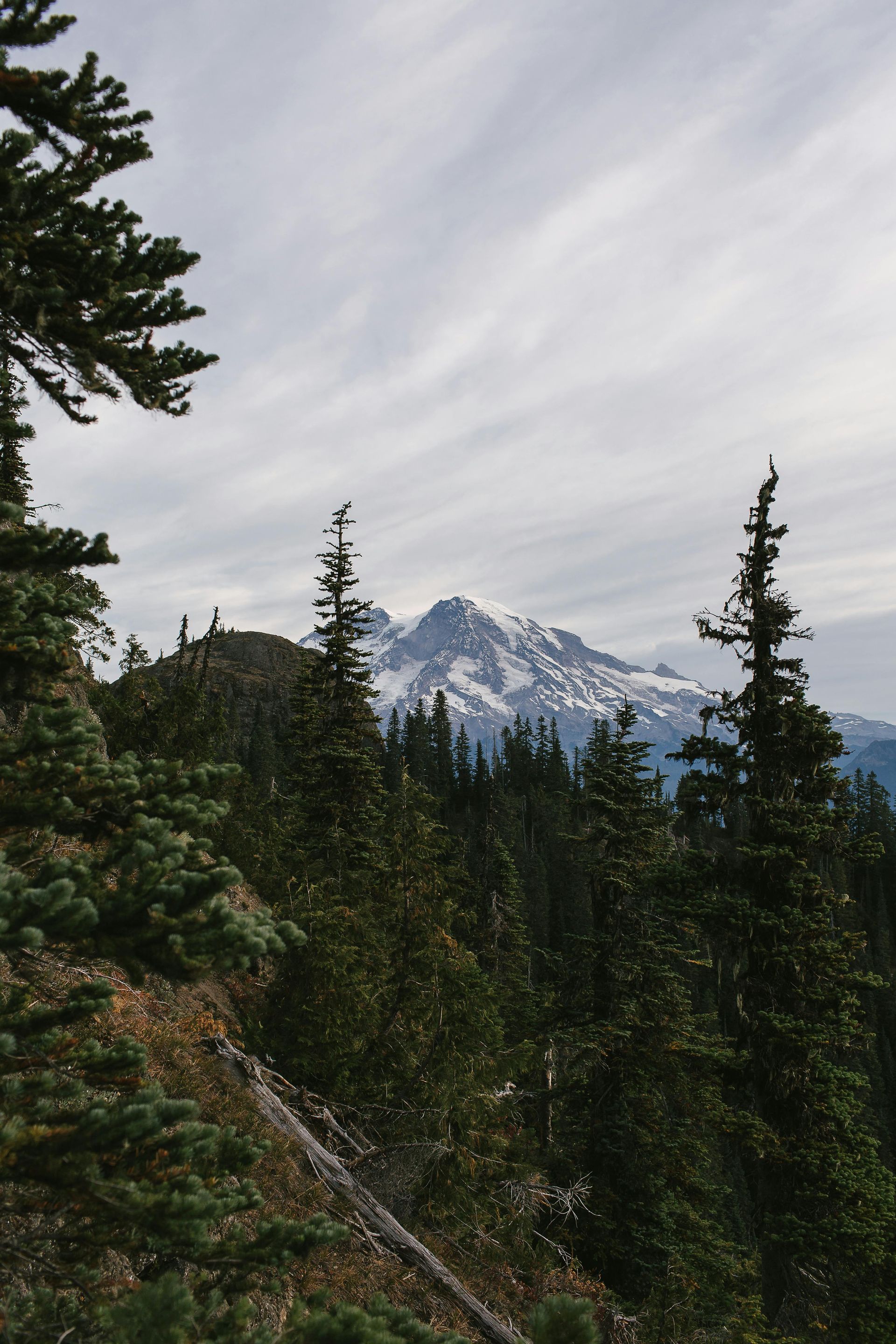 Mountain with snowy peak seen through evergreen trees under a cloudy sky.