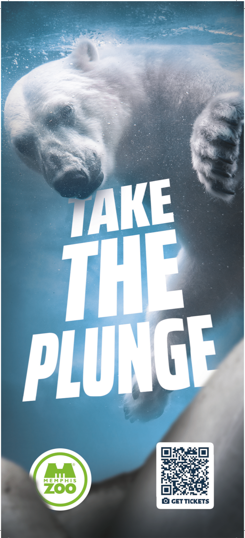 A poster with a polar bear and the words take the plunge