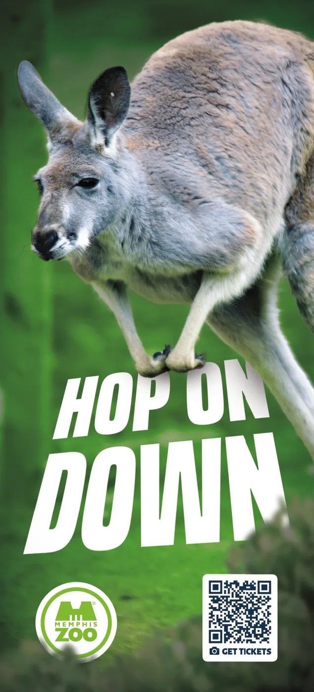 A kangaroo is jumping in the air on a sign that says hop on down