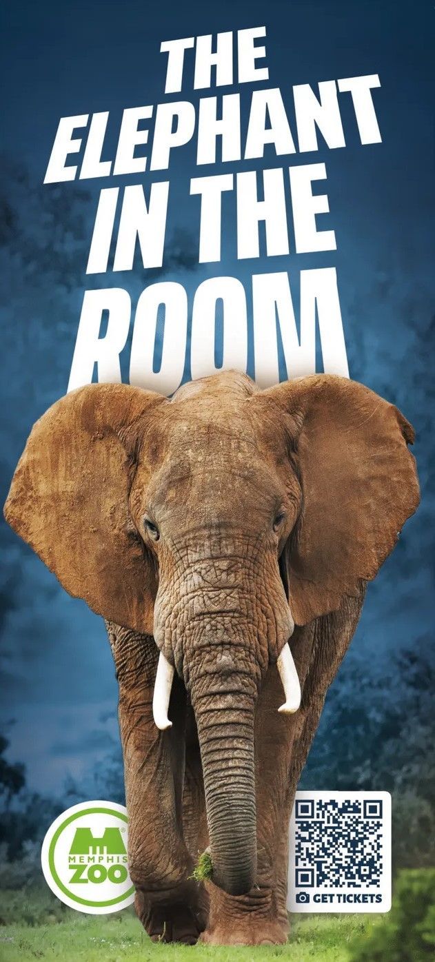 A poster for the elephant in the room shows an elephant standing in a field.