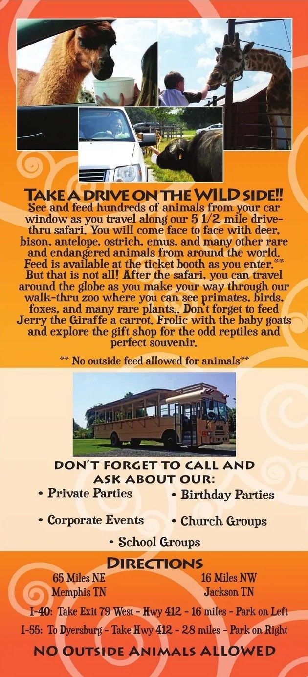 The back of a pamphlet that says take a drive on the wild side
