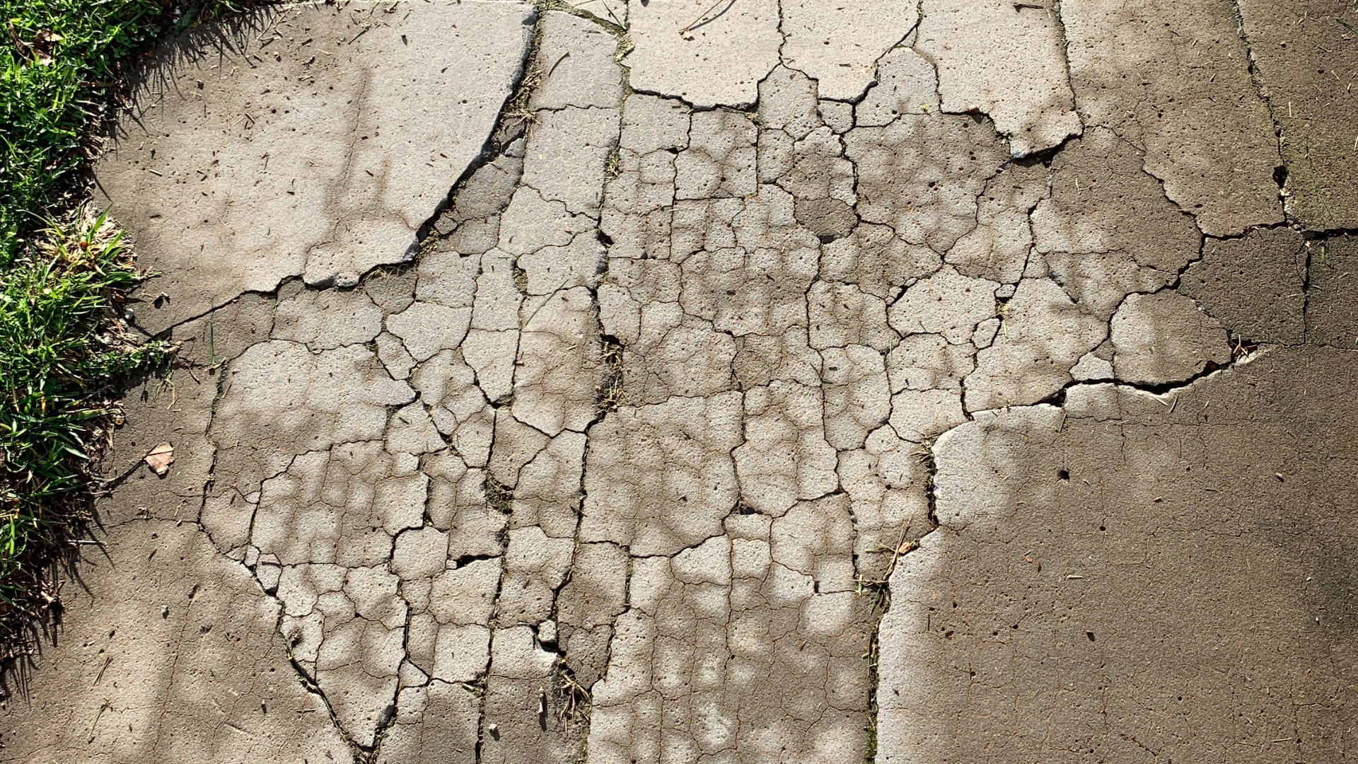 Cracked, weathered, moist concrete pavement with small patches of grass along the edge