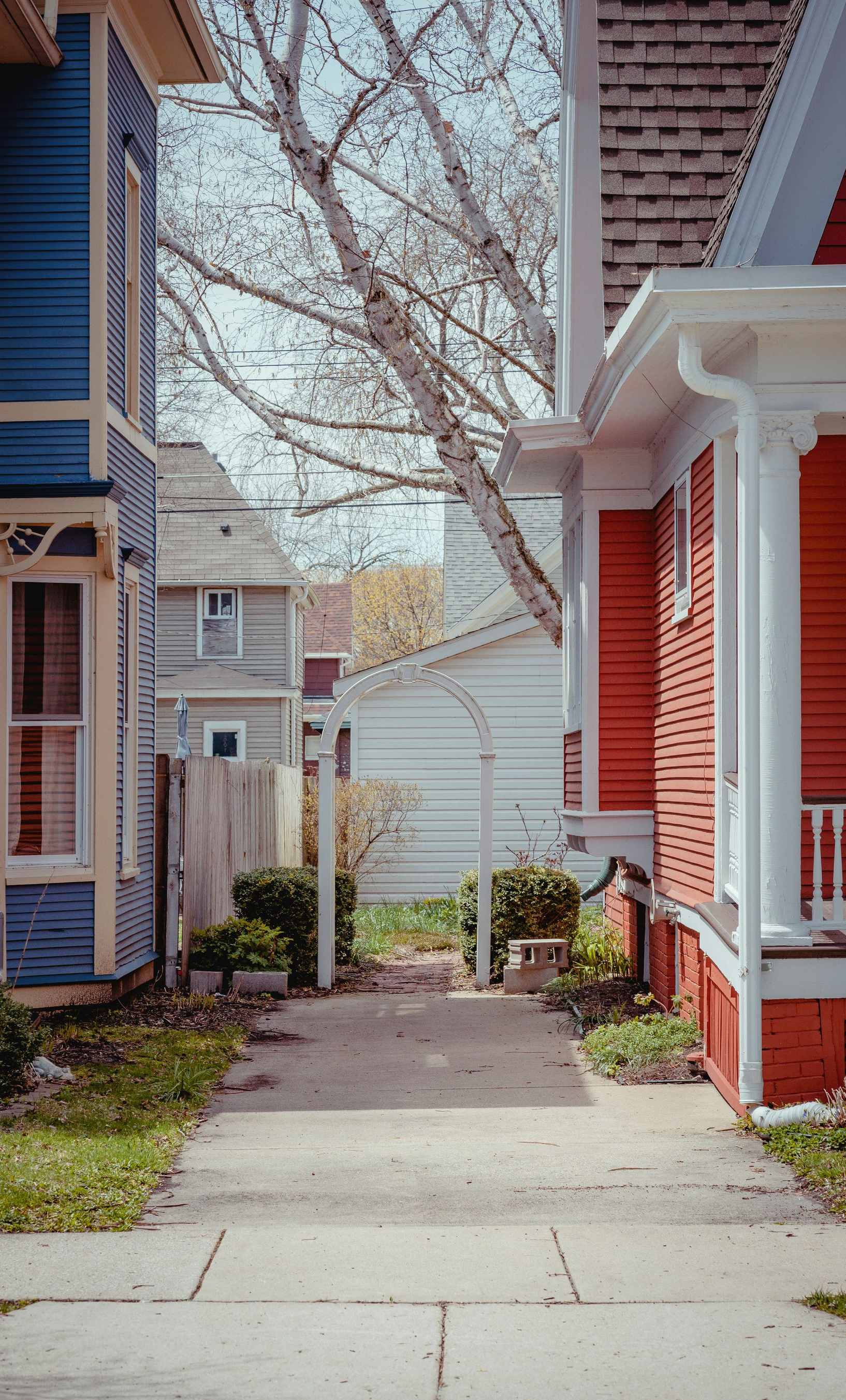 Narrow alley between colorful houses, with bare tree branches overhead and a sidewalk leading to a white fence.