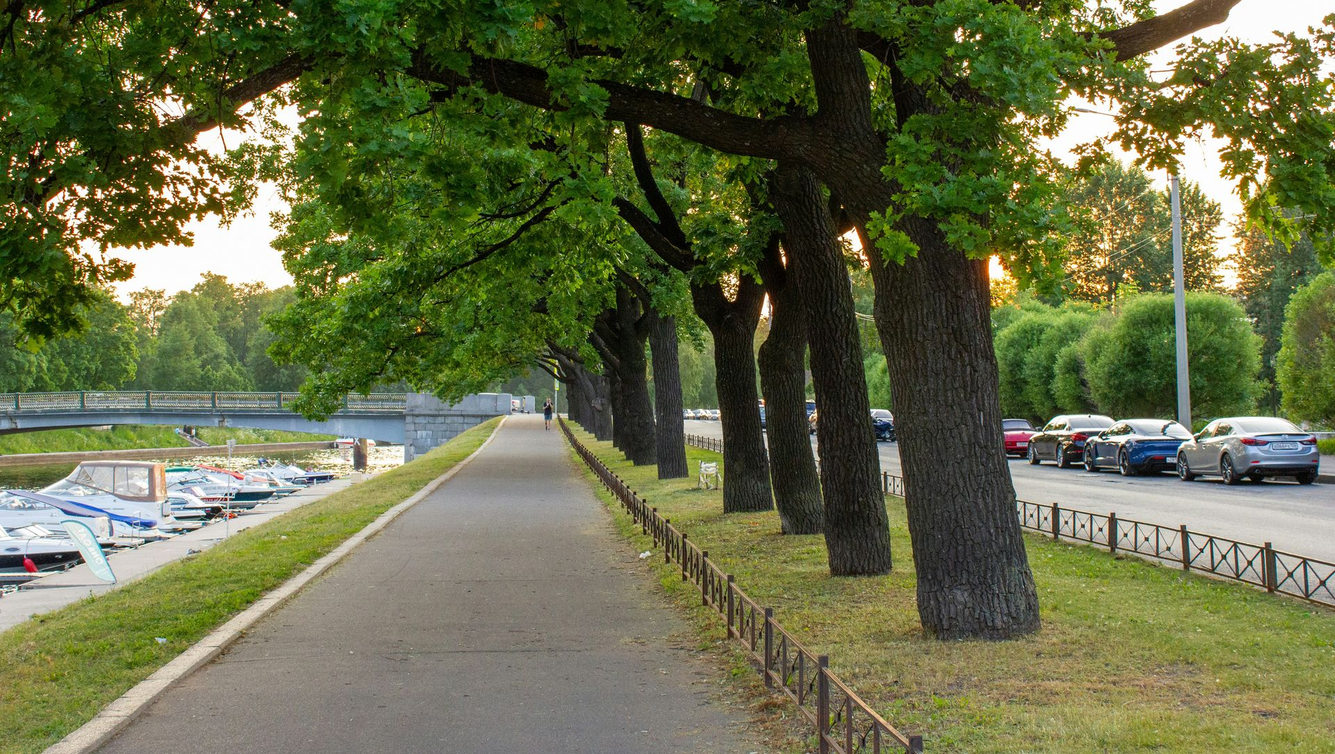 Tree-lined sidewalk beside a road and parking area on a sunny day