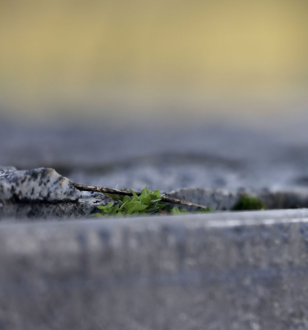 Close-up of a weathered concrete curb with small rocks and moss, blurred background behind it