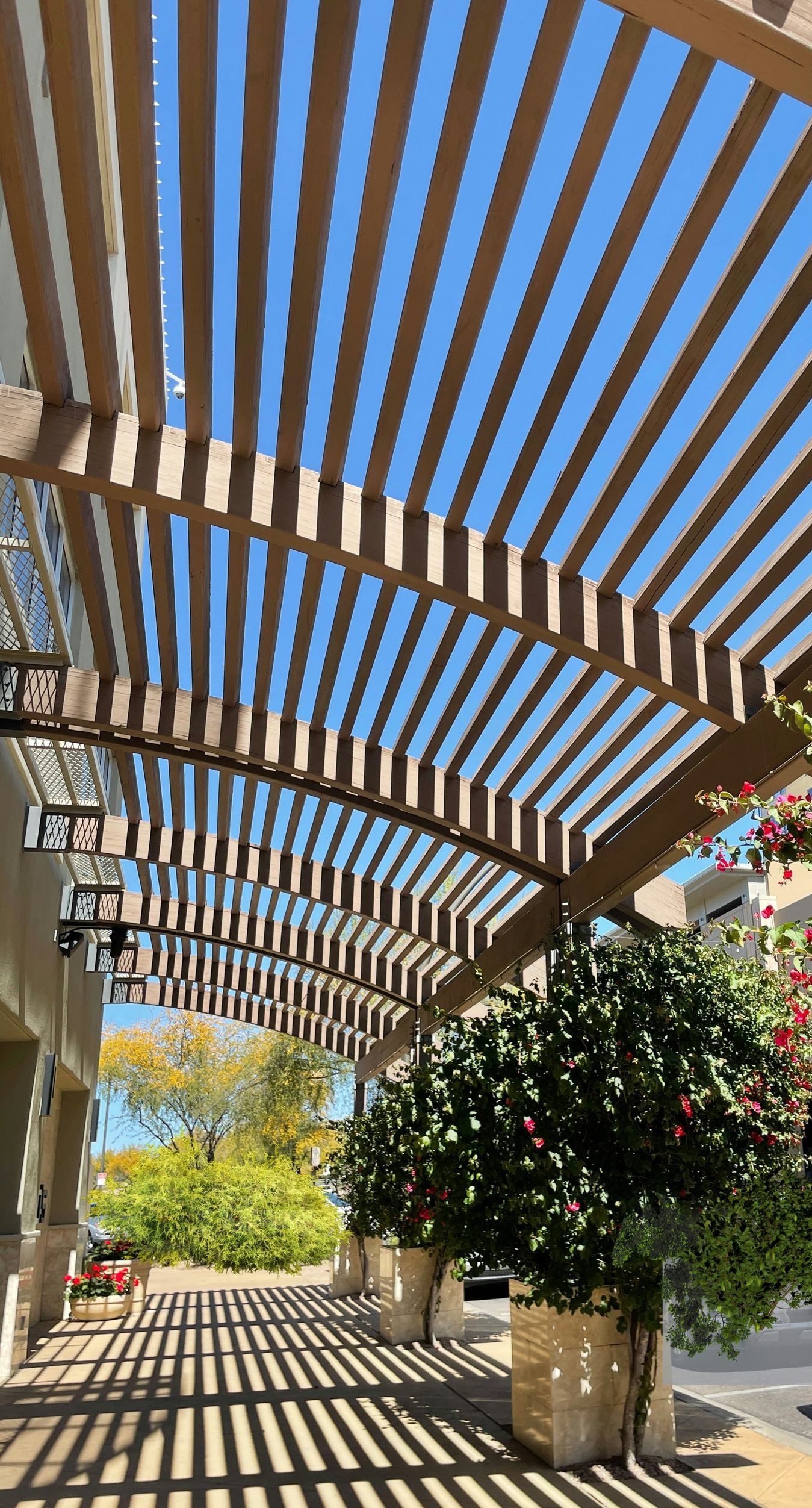 Wooden pergola walkway with striped shadows, potted plants, and bright blue sky overhead