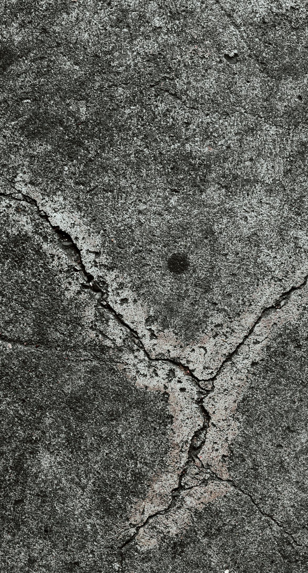 Close-up of a rough gray rock with a dark Y-shaped crack or branch-like pattern