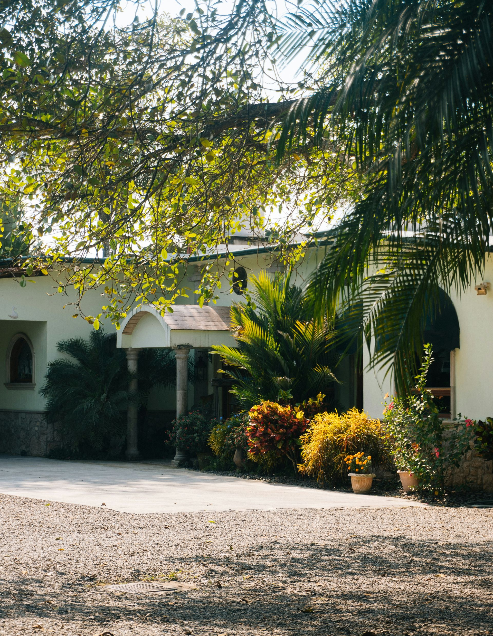 Exterior view of a white stucco building with a gravel driveway, surrounded by lush green and yellow foliage.