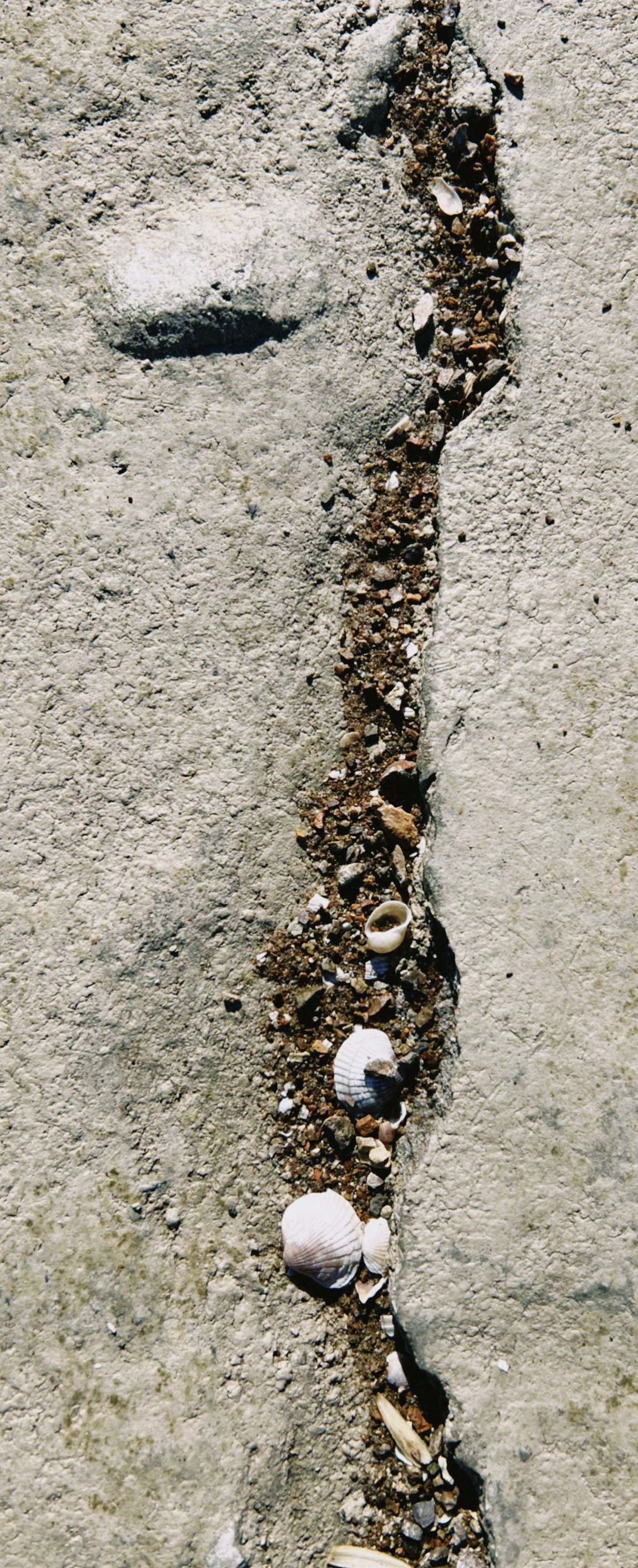 Cracked concrete with a narrow line of dirt and pebbles running vertically down the center
