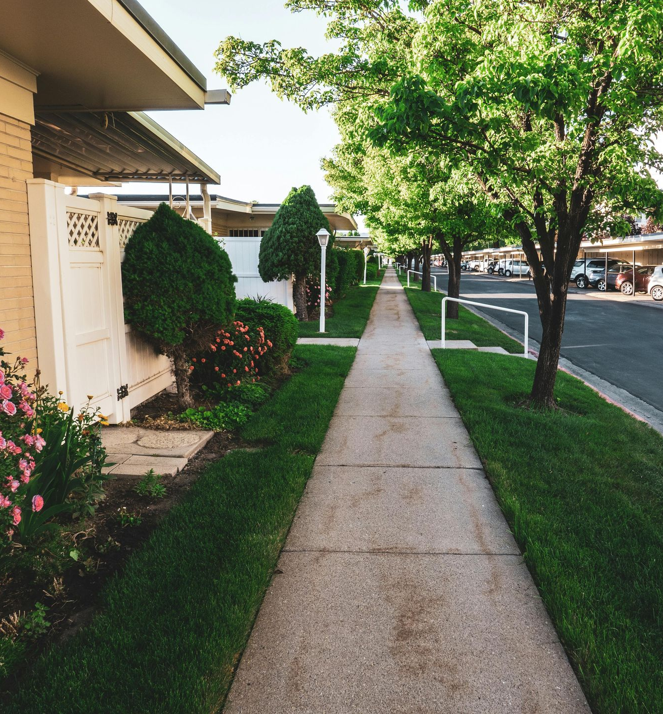 Sidewalk beside beige apartments, green trees and shrubs, with a road and parked cars under a bright sky.