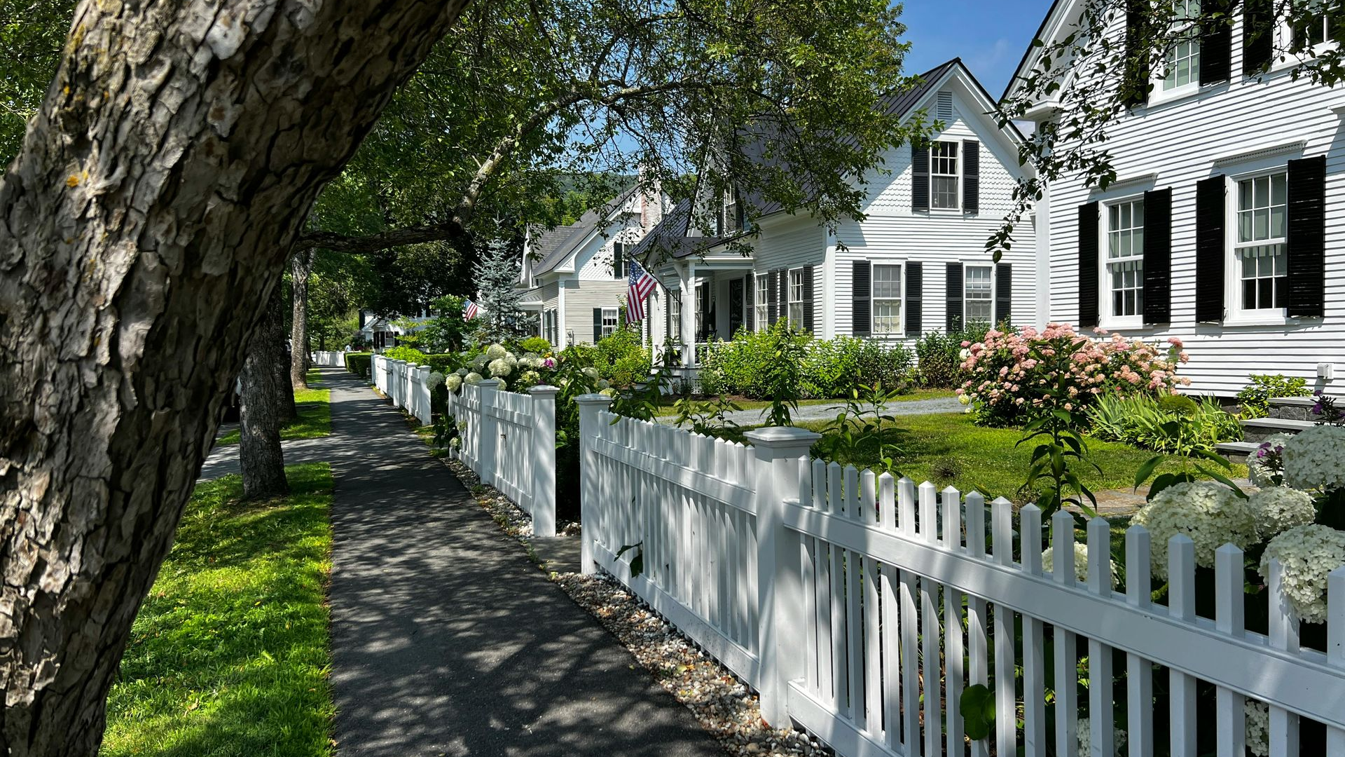White houses with black shutters beside a white picket fence and tree-lined sidewalk on a sunny street