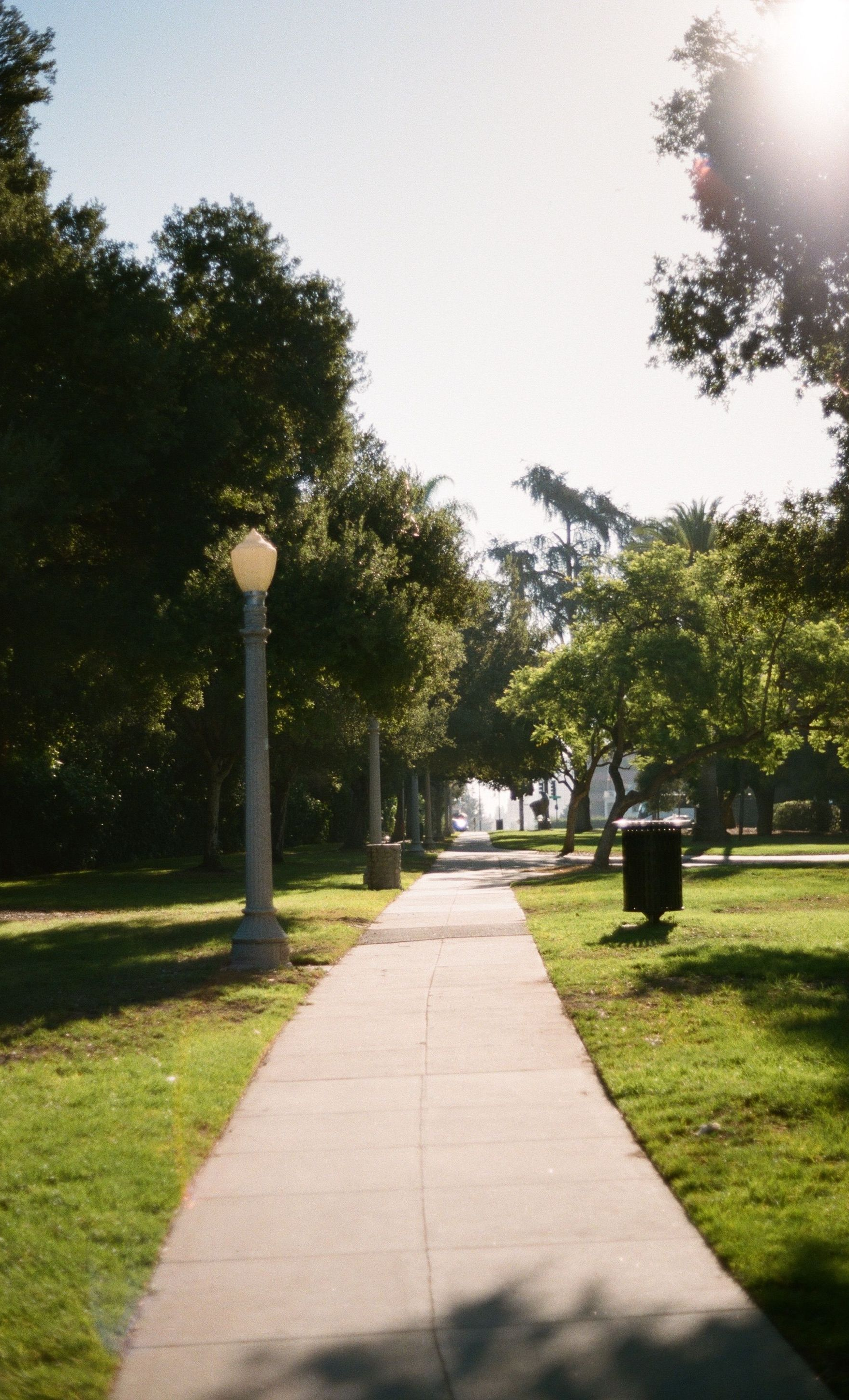 Sunny park walkway lined with trees and lamp posts, with grass on both sides.
