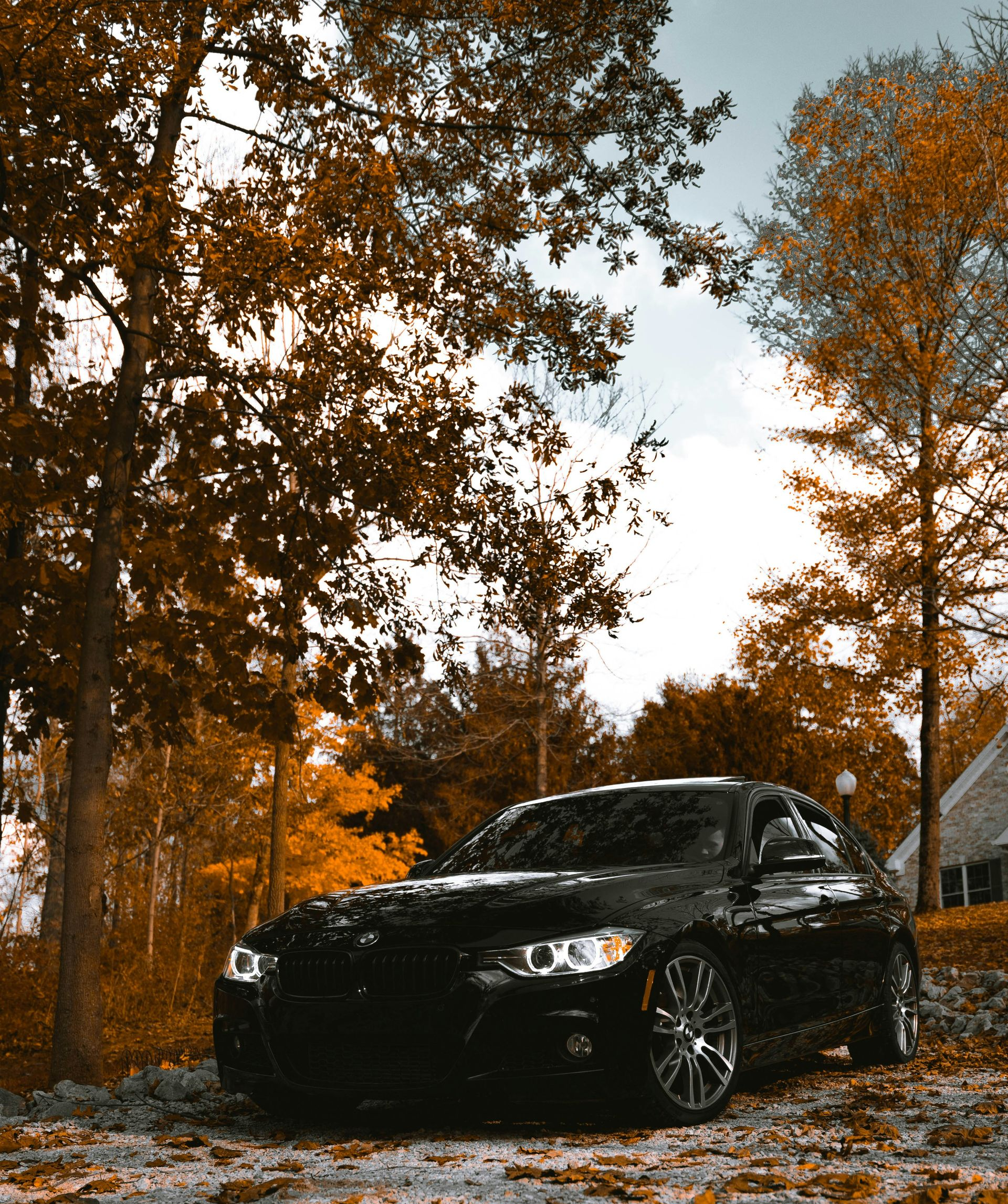 Black sedan parked on a leaf-covered driveway, surrounded by trees with orange foliage.