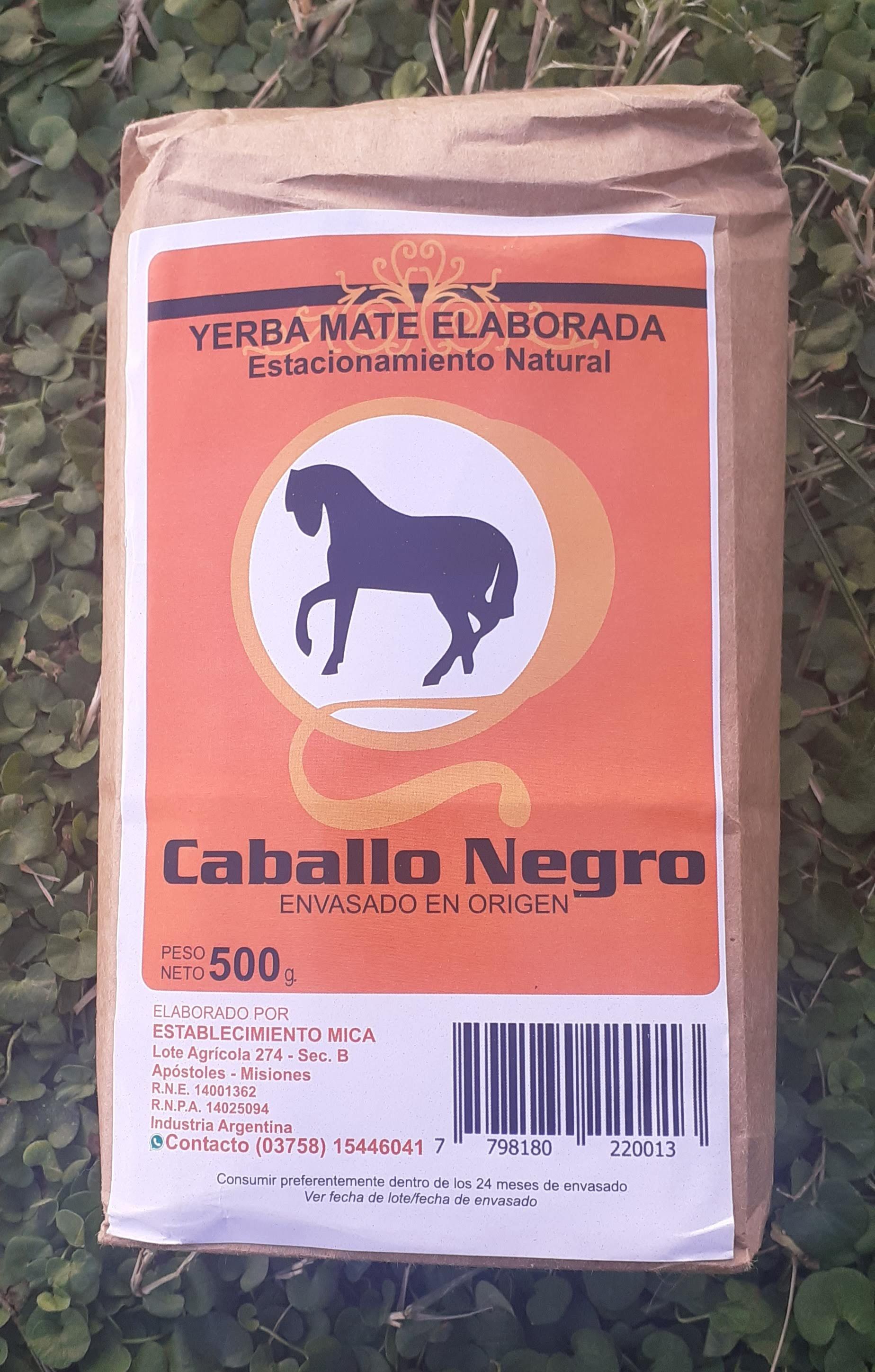 yerba mate