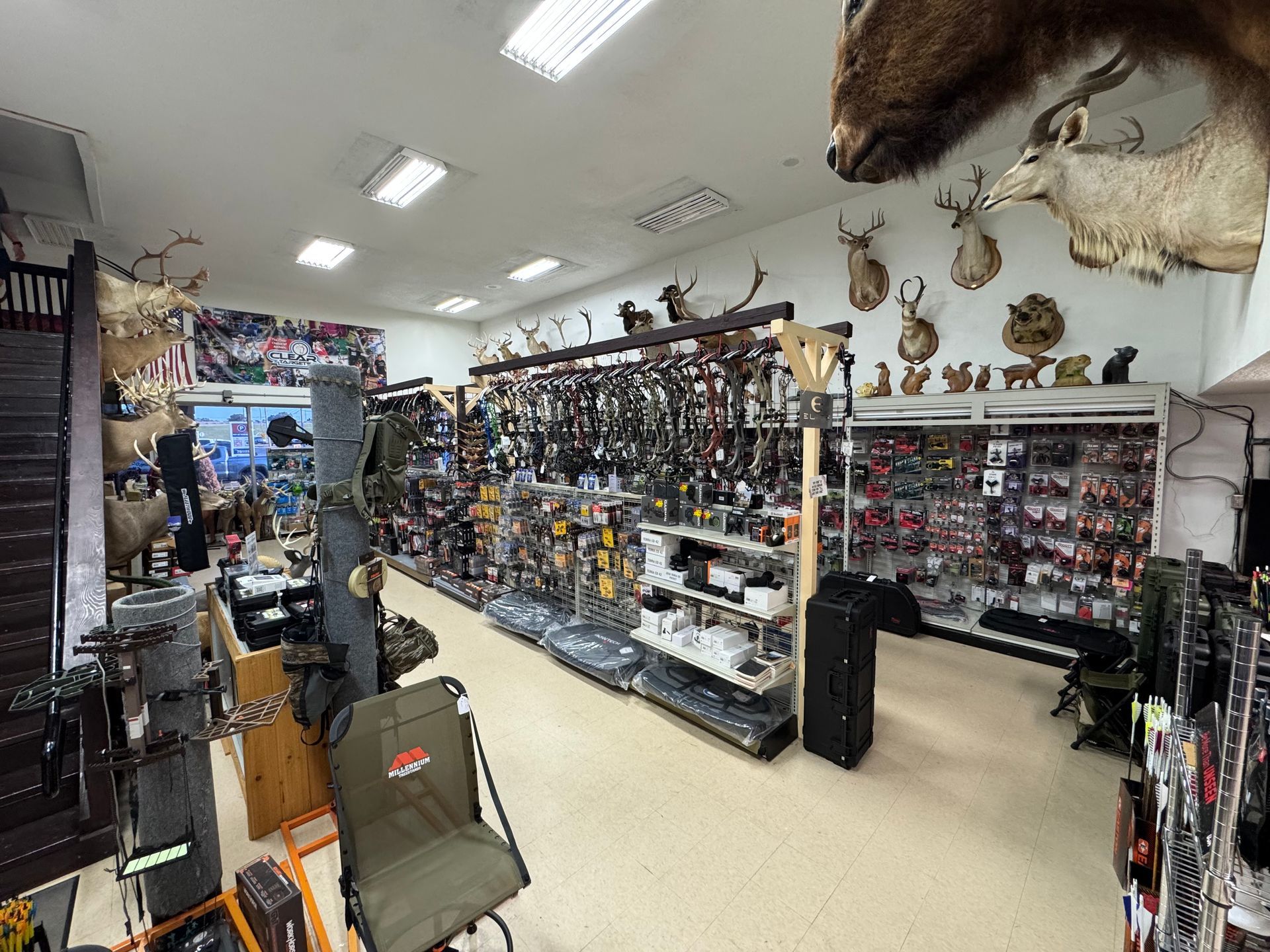 Taxidermy and hunting gear store interior with mounted animal heads and display shelves