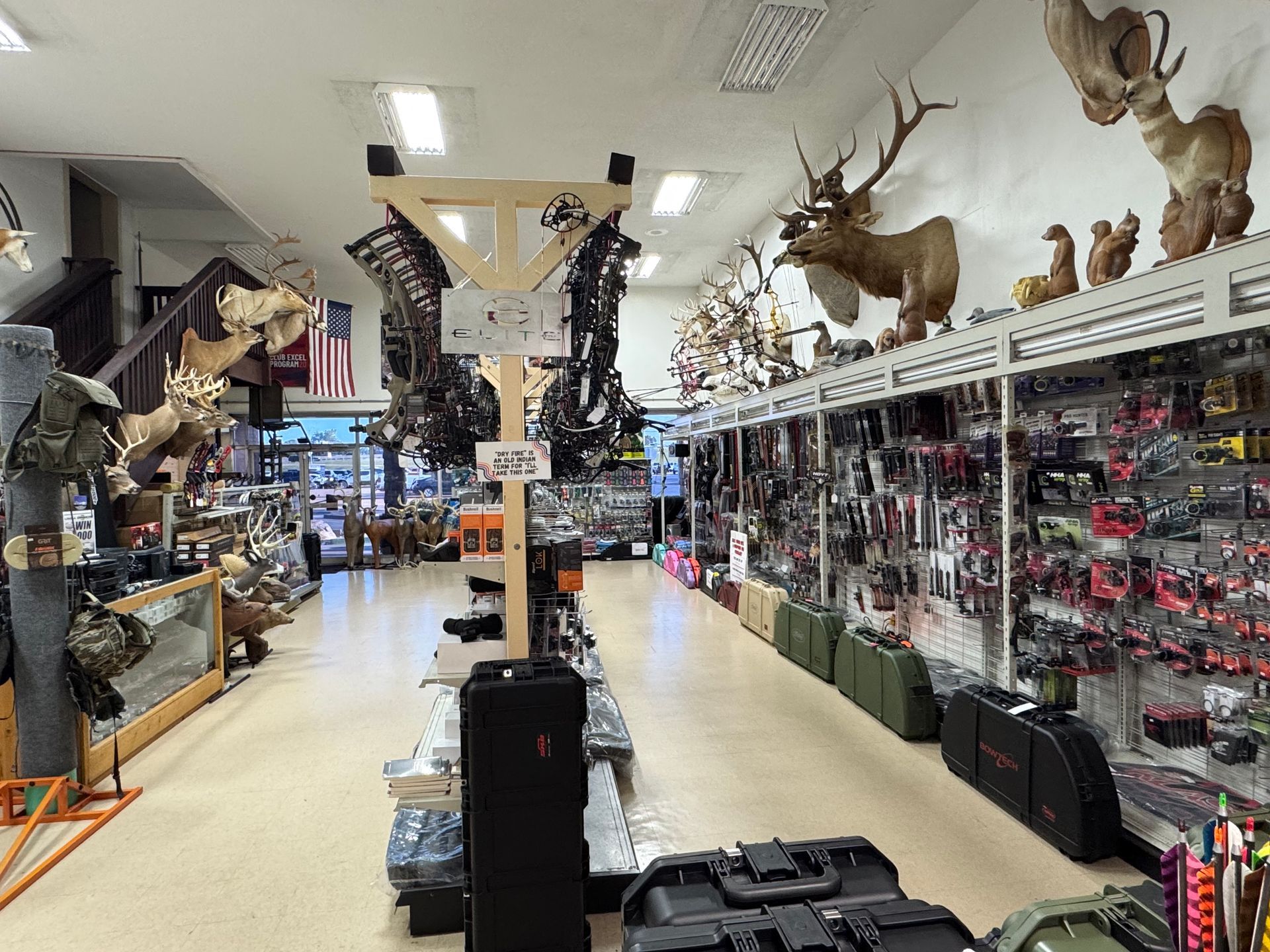Taxidermy shop aisle with mounted animals and hunting gear displayed on walls and shelves