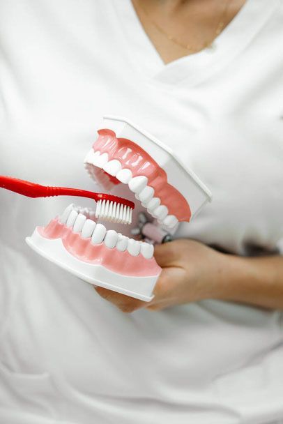 Restorative dentistry services for a healthy smile in Concord Restorative dentistry services for a healthy smile in Concord