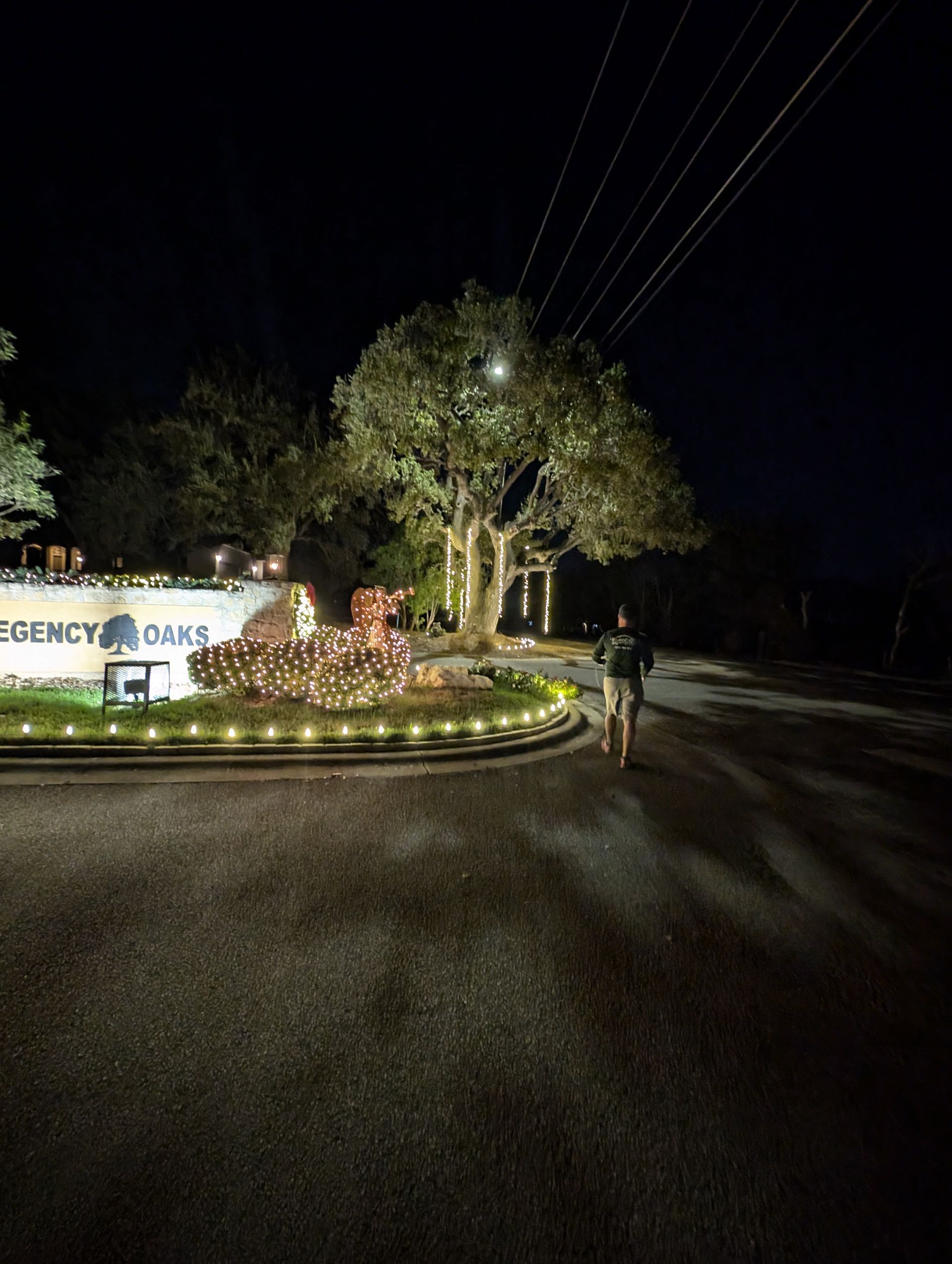 Nighttime shot of 