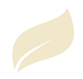 Pale yellow leaf shape, with a curved vein running through the middle.
