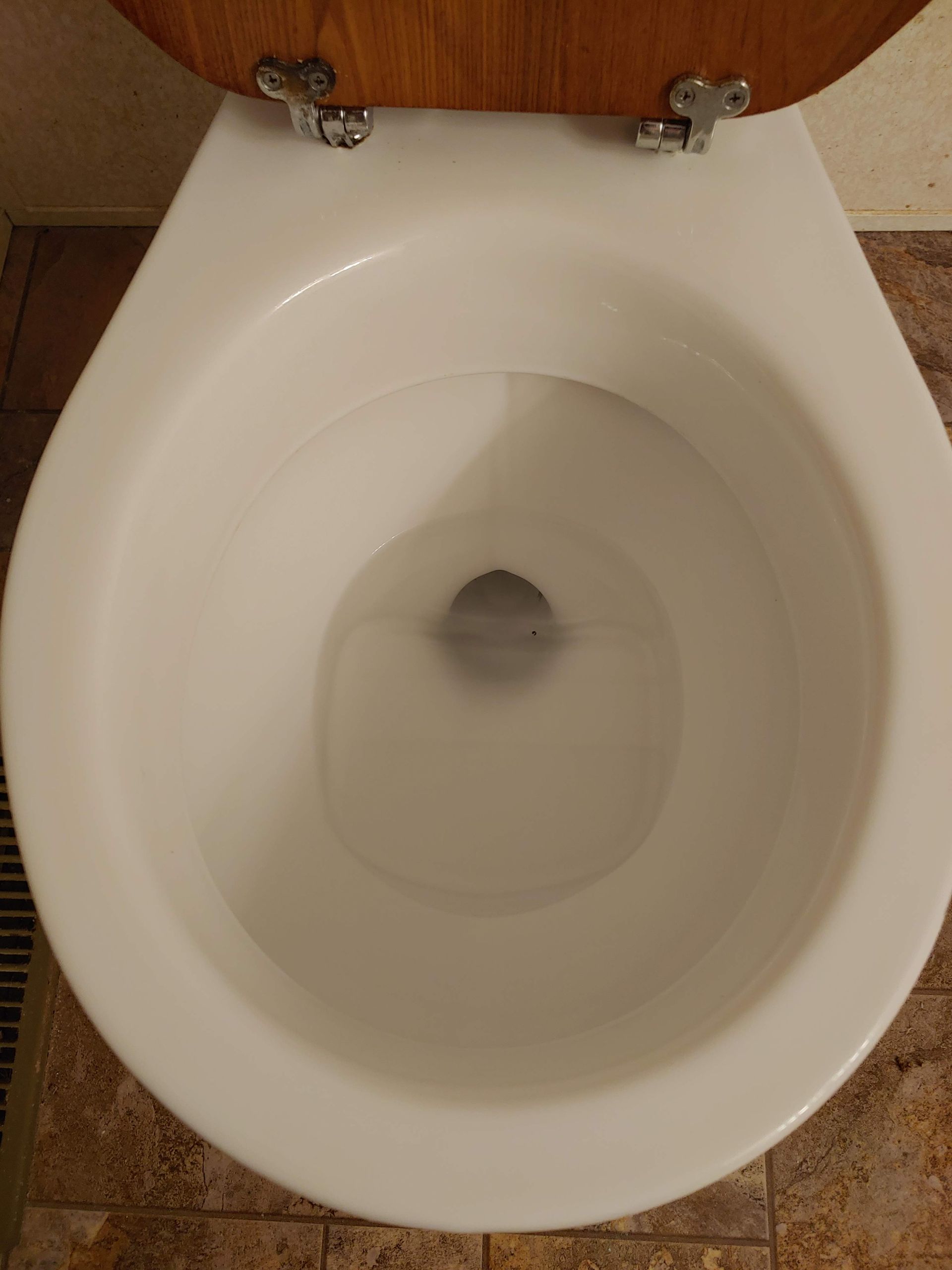 Clean Toilet