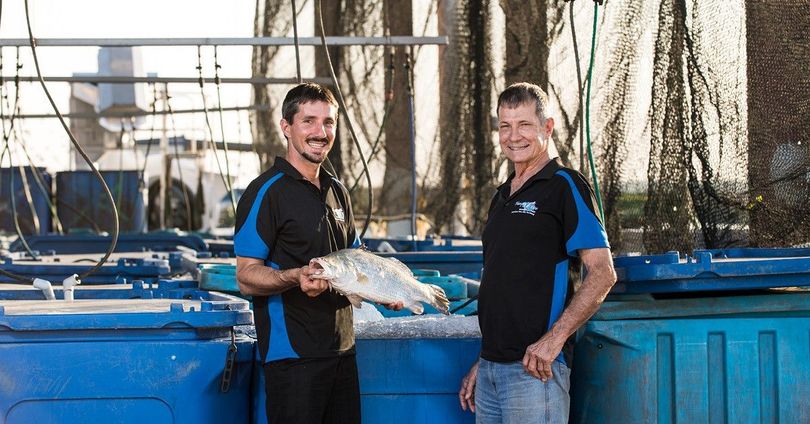 Two people in matching black and blue uniforms hold a fish over large blue storage bins in a commercial fishing facility.