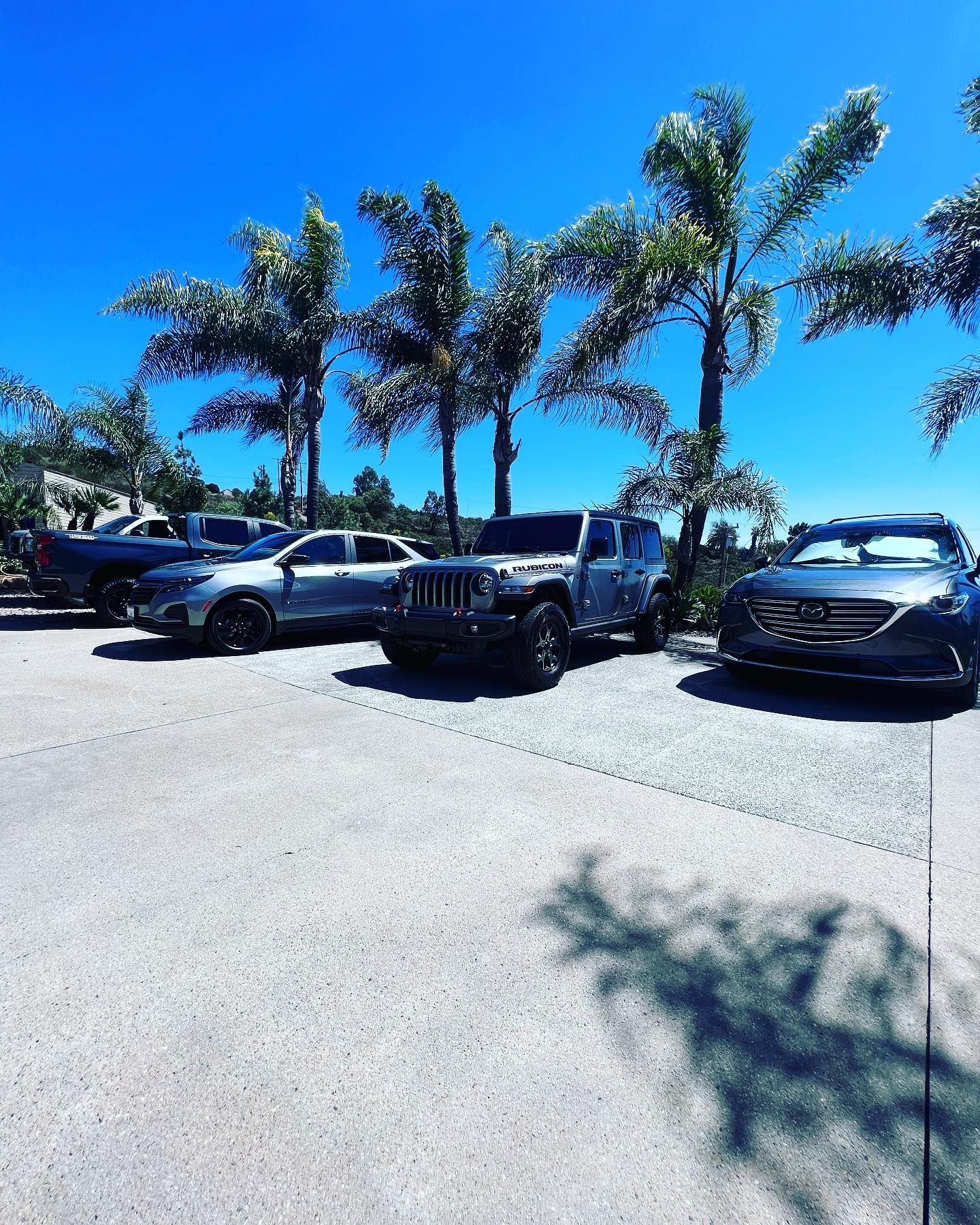 A row of cars are parked in a parking lot surrounded by palm trees.