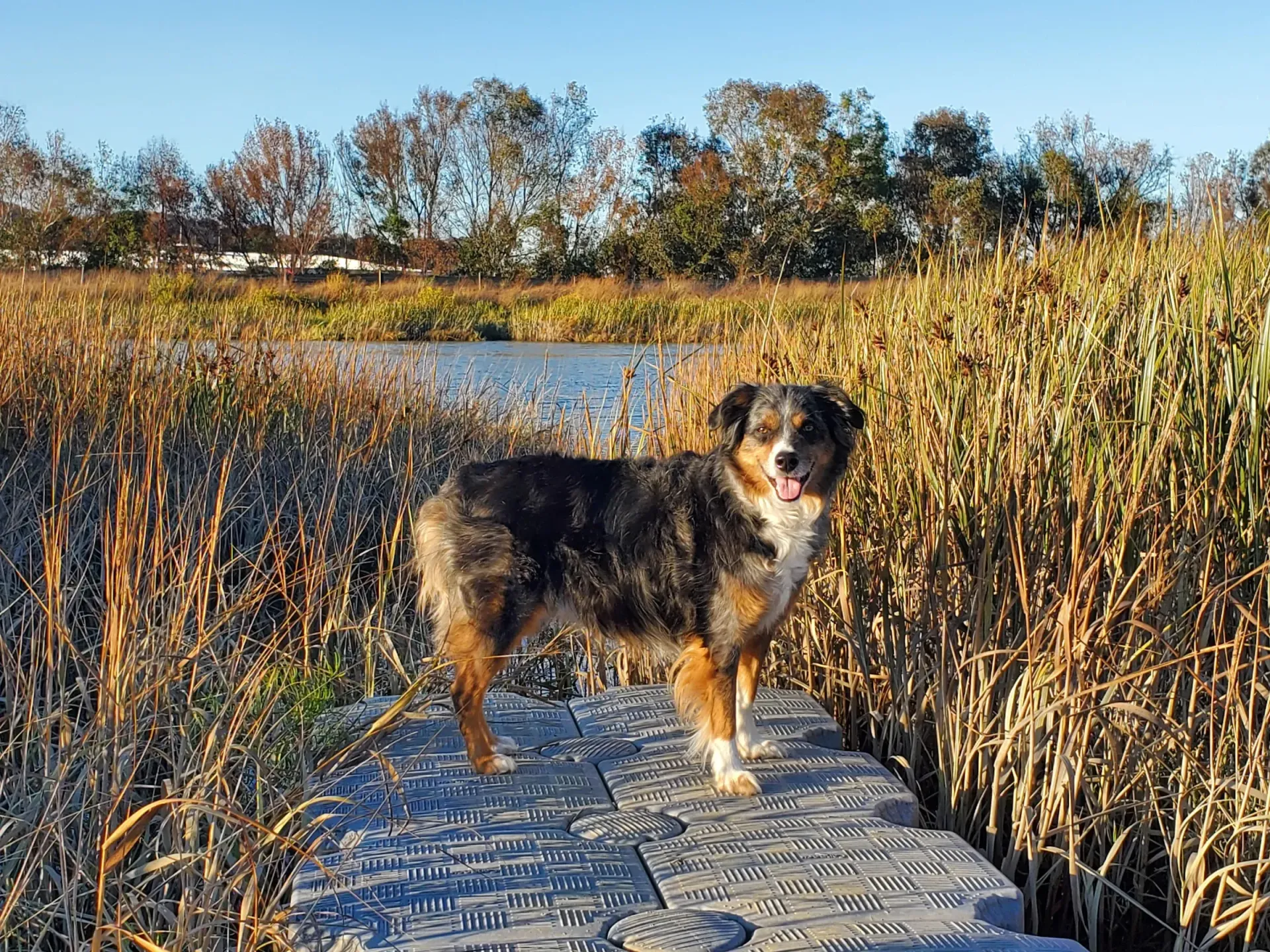 Chaco by the Water