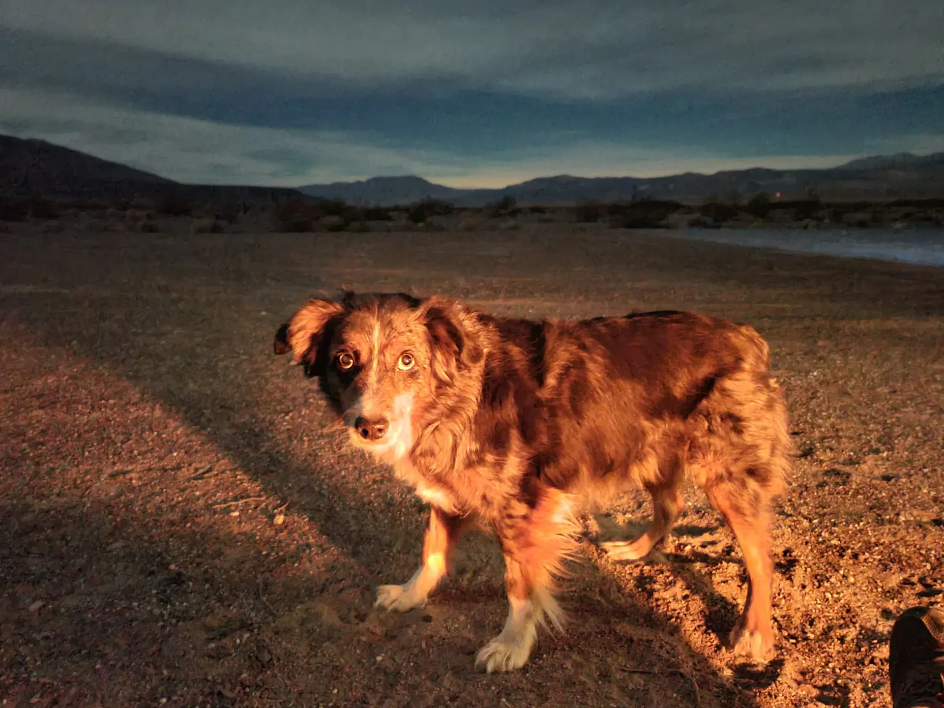 Chaco camping