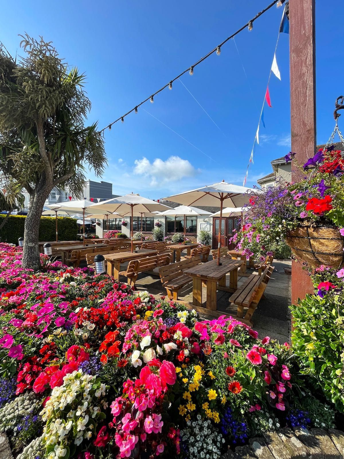 A garden filled with lots of flowers and tables and chairs.