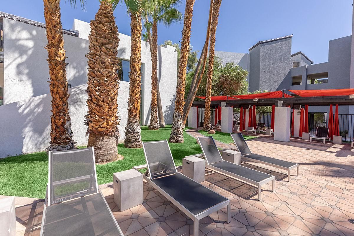 Lounge chairs on a patio with palm trees, a white building, and red accents.