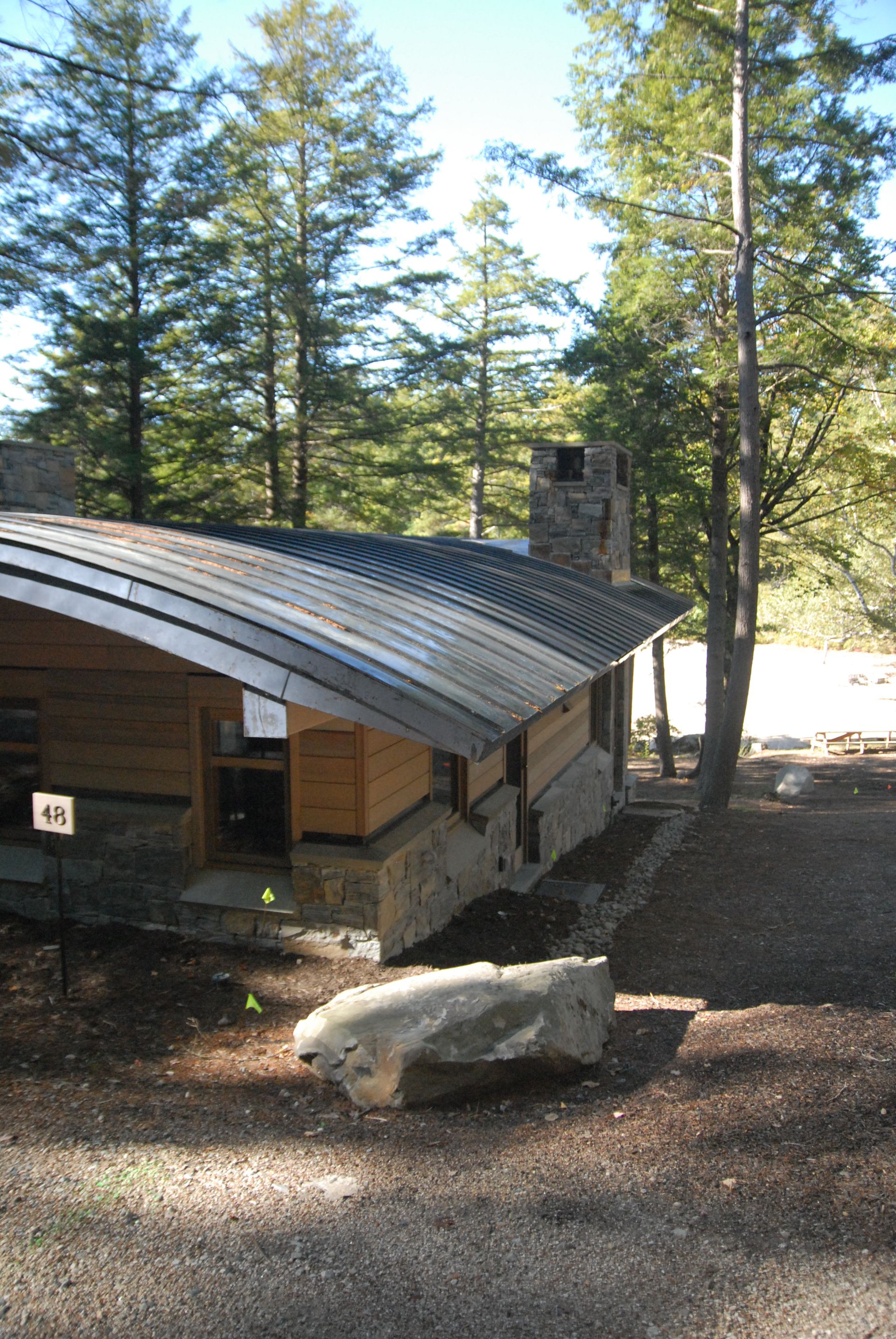 A small house with a metal roof is surrounded by trees