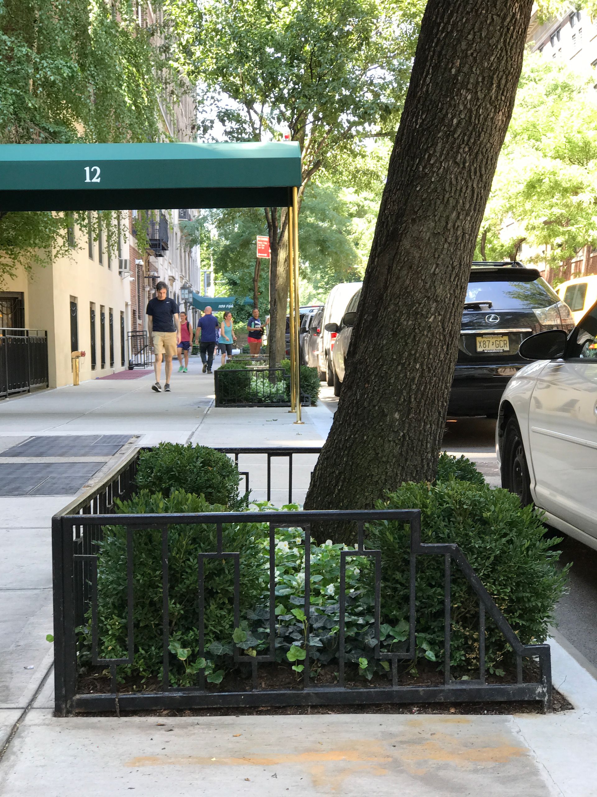A tree in the middle of a sidewalk next to a fence