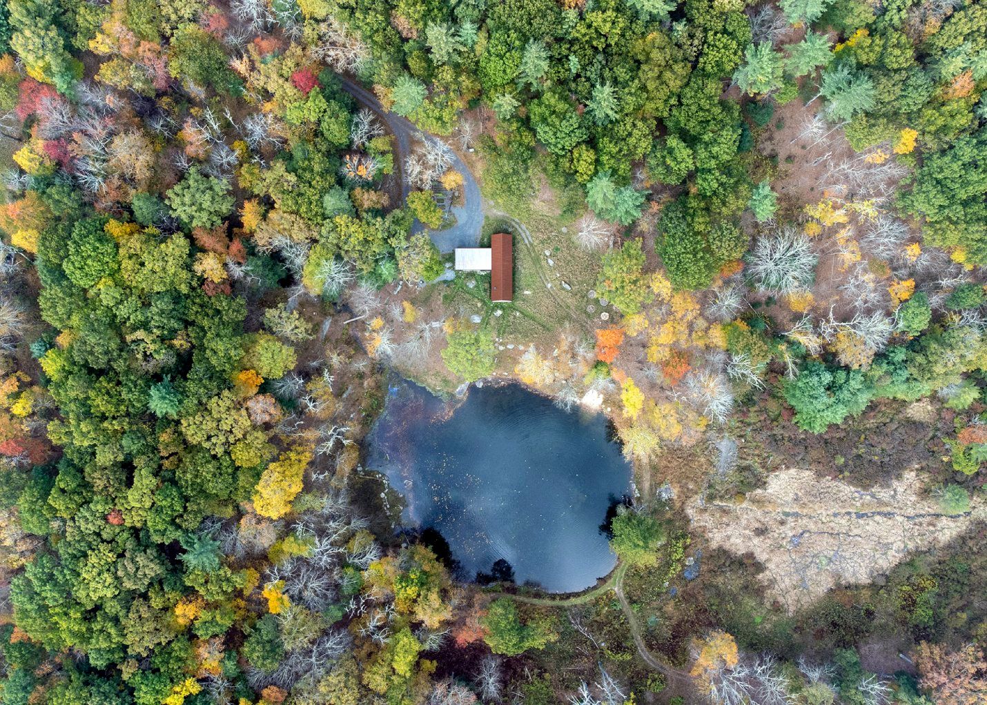 An aerial view of a small lake in the middle of a forest.